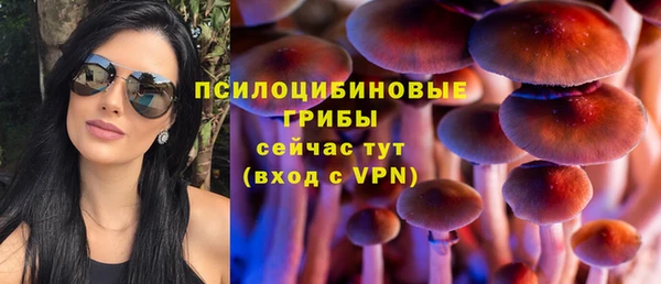 соль курить ск Верея
