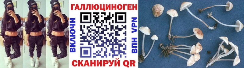 магазин продажи наркотиков  Ковылкино  Псилоцибиновые грибы ЛСД 
