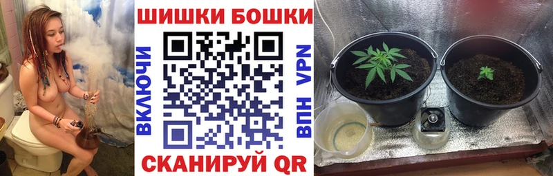 Канабис ГИДРОПОН  Ковылкино 